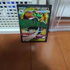 ゎ*。様 R*長様 ポケモンカード　メガルカリオex ma