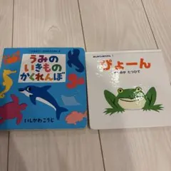 うみのいきものかくれんぼ いしかわこうじ 絵本