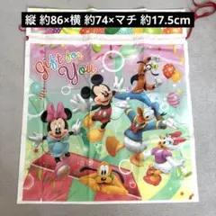 ディズニー ギフトバッグ 巾着袋　特大サイズのサムネイル