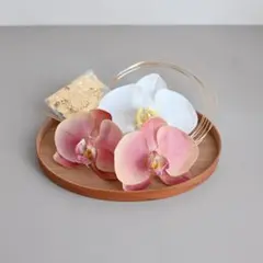 【胡蝶蘭と水引と金箔】ピンクベージュ| 髪飾り 卒業式 結婚式 和装 成人式 袴