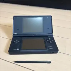 t*中様 ニンテンドーDSi 本体ソフト付