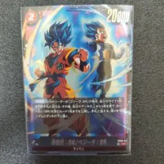 FB09-011 孫悟空:BR / ベジータ:BR SR - メルカリ