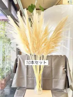 2025年最新】特大パンパスグラスの人気アイテム - メルカリ 