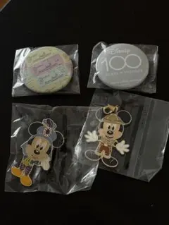 ディズニー 100周年 缶バッジ、ミッキー ミニー ピンズセット