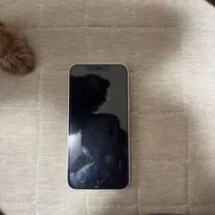 SIMフリー　Apple iPhone 12 mini 64GB