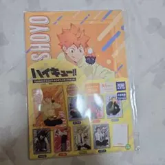 ハイキュー　Yummyマスコット　A5ポストカードセット