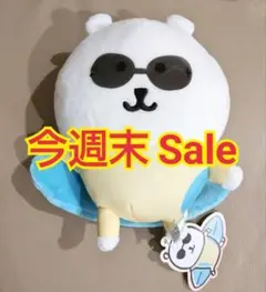 ❤️圧縮しません❗️✨新品✨ナガノキャラクターズ サーフィン ぬいぐるみ ②