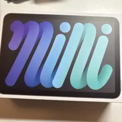 iPad mini （第6世代）wifiモデル