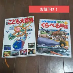 こども大百科】【きせつの図鑑】学習ビジュアル百科はるなつあきふゆ 