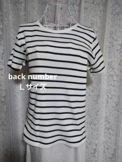 ストライプ 半袖 Tシャツ ホワイト/ブラック Lサイズ