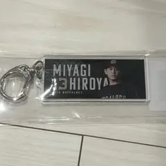 Item thumbnail for item 375d0de4-35f6-48cb-9554-275ffbd97eba