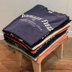 アメリカ古着 半袖Tシャツ 16点セット Lサイズ ❹まとめ売りのサムネイル