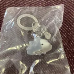 ユキハミ　めじるしアクセサリー　ポケモン