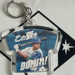 ファイターズ この夏をDOMIN! ハメパチキーホルダー 万波中正