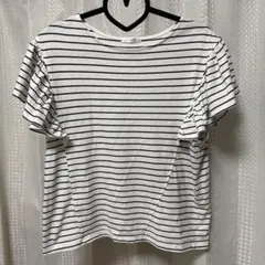ハニーズCOLZAコルザ白黒ボーダートップス 袖フリル　フレンチスリーブM