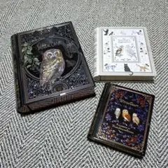 【3缶セット】カルディ ハロウィン☆魔法クッキー缶★3缶セット