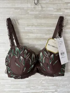 D75」トリンプ プレミアム ゴールドレーベル 草木根の美 ブラジャー