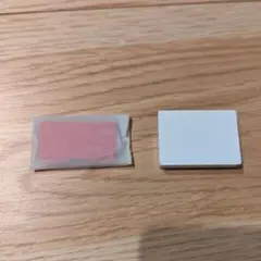 Item thumbnail for item 024ff133-09f4-4815-8bb6-95879cfa962e