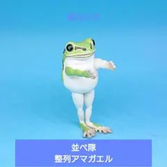 訳あり キタンクラブ 並べ隊 整列アマガエル 前ならえ