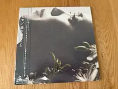 Arche sublimated 新品未使用 レコードの日2025 - メルカリ