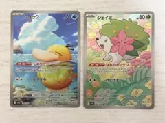 2026年最新】シェイミARの人気アイテム - メルカリ