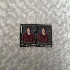 山本彰吾 ランペ BOT フォトカード シークレット