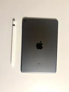 iPad mini 第5世代 256GB セルラー Pencil ケース付 - メルカリ
