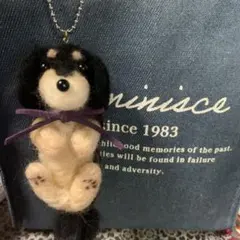 Item thumbnail for item 72fe35f3-f44c-4955-9da0-f3d1615fa1fc