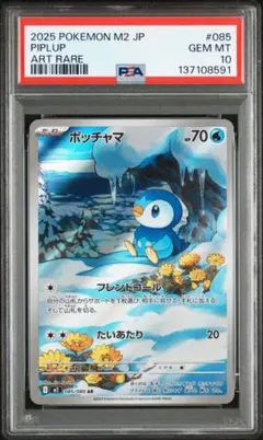 2025年最新】ポッチャマ psa10の人気アイテム - メルカリ