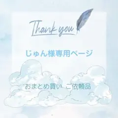 じゅん様専用ページ リクエスト 5枚 まとめ売り