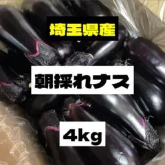 ★朝採れナス★箱込み4kg‼️