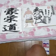 2026年最新】豪栄道の人気アイテム - メルカリ