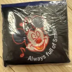 ディズニーランド　カプセルトイ　エコバッグ