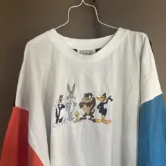 LOONEY TUNES ルーニーテューンズ ダズマニアンデビルアニメ刺繍teeのサムネイル