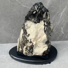 産地限定】北海道 遠軽瀬戸瀬産 珪化木 5.4kg 鑑賞石 木化石 銘石 原石