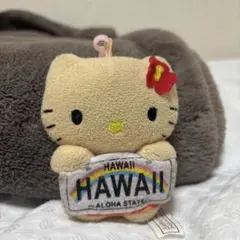 日焼けキティ　ハワイ限定　ABCストア