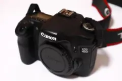 Item thumbnail for item 3ec14256-a661-4b11-8b14-fb9f2d7f0bec