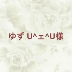ゆず U^ェ^U様 リクエスト 2点 まとめ商品