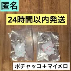 サンリオ めじるしアクセサリー ふわふわスノー　【ポチャッコ、マイメロ】