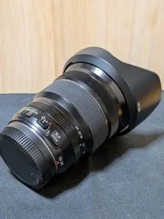 Item thumbnail for item 0090795a-bd80-47ca-8453-3c1a542c9778