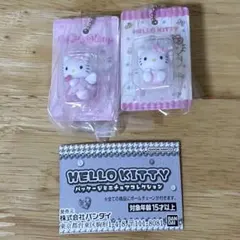 2点セット　キティ　パッケージチャーム　パッケージミニチュアコレクション