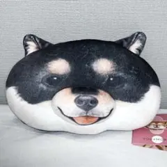 Item thumbnail for item 2212a004-f06f-4e2d-bbec-d6b8a12a7c66