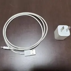 Lightning 充電 ケーブル Apple 純正