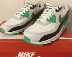 ナイキ エアマックス90 GORE-TEX ゴアテックス GTX 26.5cm