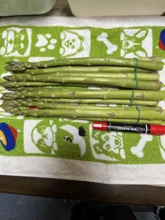 さなぴん様専用