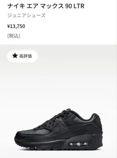 ナイキ エア マックス 90 LTR
