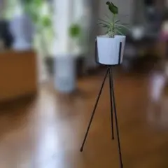 北欧暮らしの道具店植木スタンド２セット