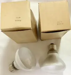 E26 25 100V200W 電球×2個セット