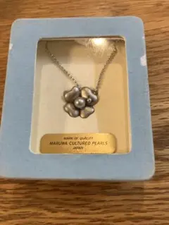 Item thumbnail for item 9c29836e-8ab4-45d8-8a21-6aed1c65bfe4