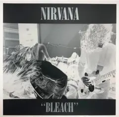 NIRVANA BLEACH ピクチャー盤 LP メキシコ盤 オリジナル - メルカリ